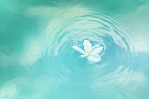 acqua-fiore-bianco-purezza